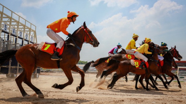 Bổ sung Dự án tổ hợp vui chơi giải trí đa năng - Trường đua ngựa vào Quy hoạch thành phố Hà Nội