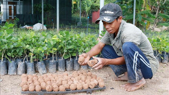 Ứng dụng 'bom hạt giống' tái tạo hệ thực vật vùng khô hạn