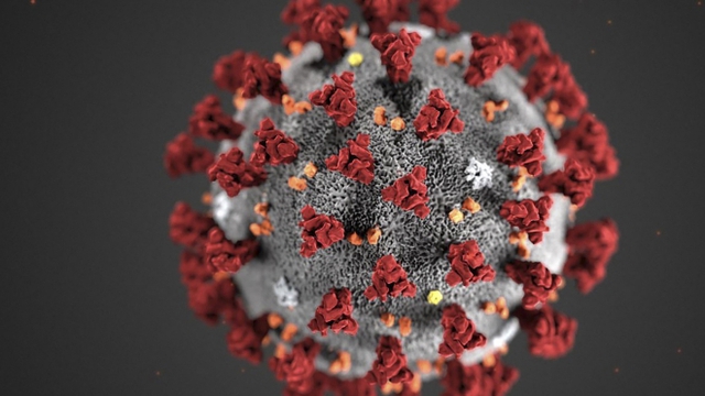 Nhiệt độ, độ ẩm và bề mặt ảnh hưởng đến thời gian sống sót của virus SARS-CoV-2