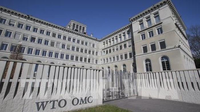 Cuộc đua trở thành tân Tổng Giám đốc của WTO bước vào 'vòng chung kết'