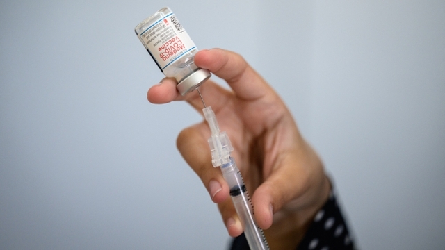 Vaccine ngừa COVID-19 tiếp theo có thể được bào chế từ thực vật