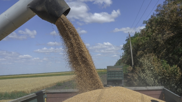 Nga và Ukraine cùng hưởng lợi từ thỏa thuận nối lại xuất khẩu ngũ cốc