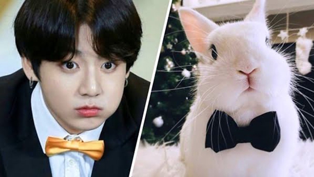 Cười ngất với những ‘meme’ chế theo ‘Thỏ’ Jungkook BTS