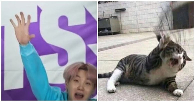 BTS, Suga, Tại sao ARMY lại gọi Suga BTS là Lil Meow Meow, Jungkook, V BTS