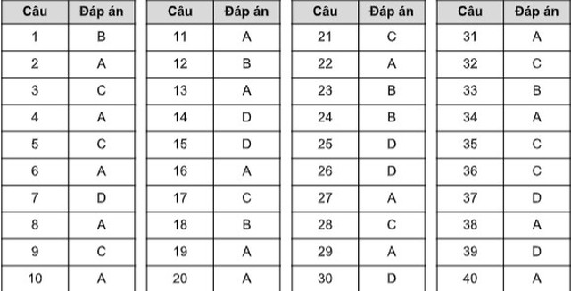 Đáp án Đề minh họa, Đáp án Đề thi minh họa, Đề thi minh họa, Đề minh họa, Đáp án Đề thi minh họa 2020, Đáp án Đề minh họa 2020, đáp án đề minh họa, đáp án đề thi minh họa