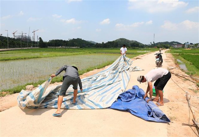 Trong ảnh: Người dân xã Nam Sơn bắt đầu tháo dỡ lều bạt đã căng, chặn mấy ngày qua. Ảnh: Thành Đạt - TTXVN