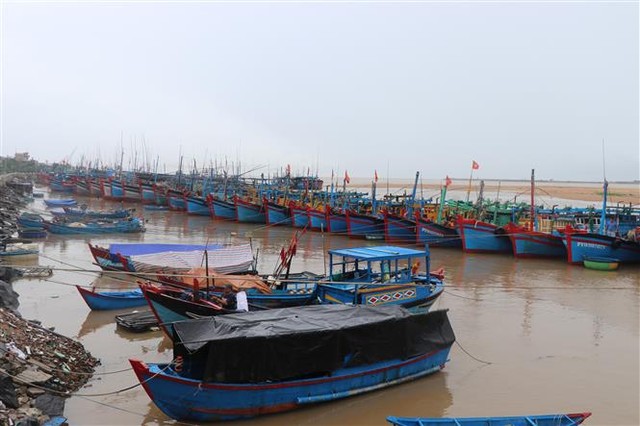 Ngư dân ven biển Phú Yên ứng phó với mưa lũ do áp thấp