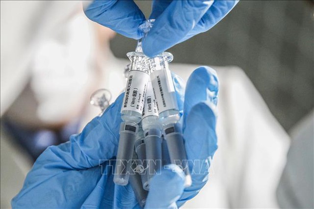 Một loại vaccine được thử nghiệm tại phòng thí nghiệm 