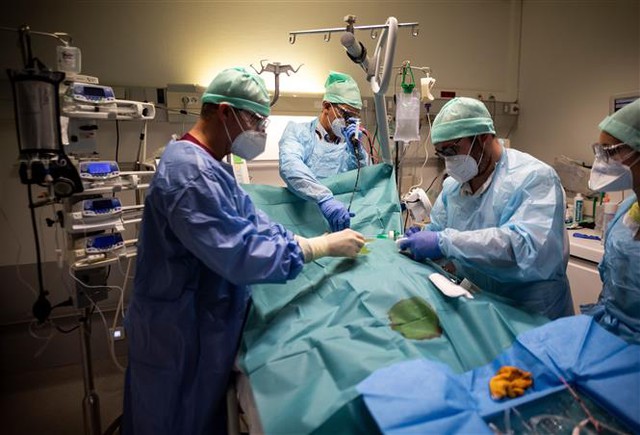 Trong ảnh: Nhân viên y tế điều trị cho bệnh nhân mắc COVID-19 tại một bệnh viện ở Muret, Pháp ngày 17/11/2020. Ảnh: AFP/TTXVN