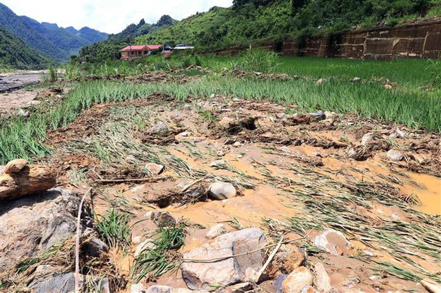 vùng núi, trung du Bắc Bộ, vùng núi Bắc Bộ mưa to, mưa về đêm và sáng, Khu vực vùng núi, trung du Bắc Bộ mưa to tập trung về đêm và sáng, mưa to, mưa về đêm và sáng