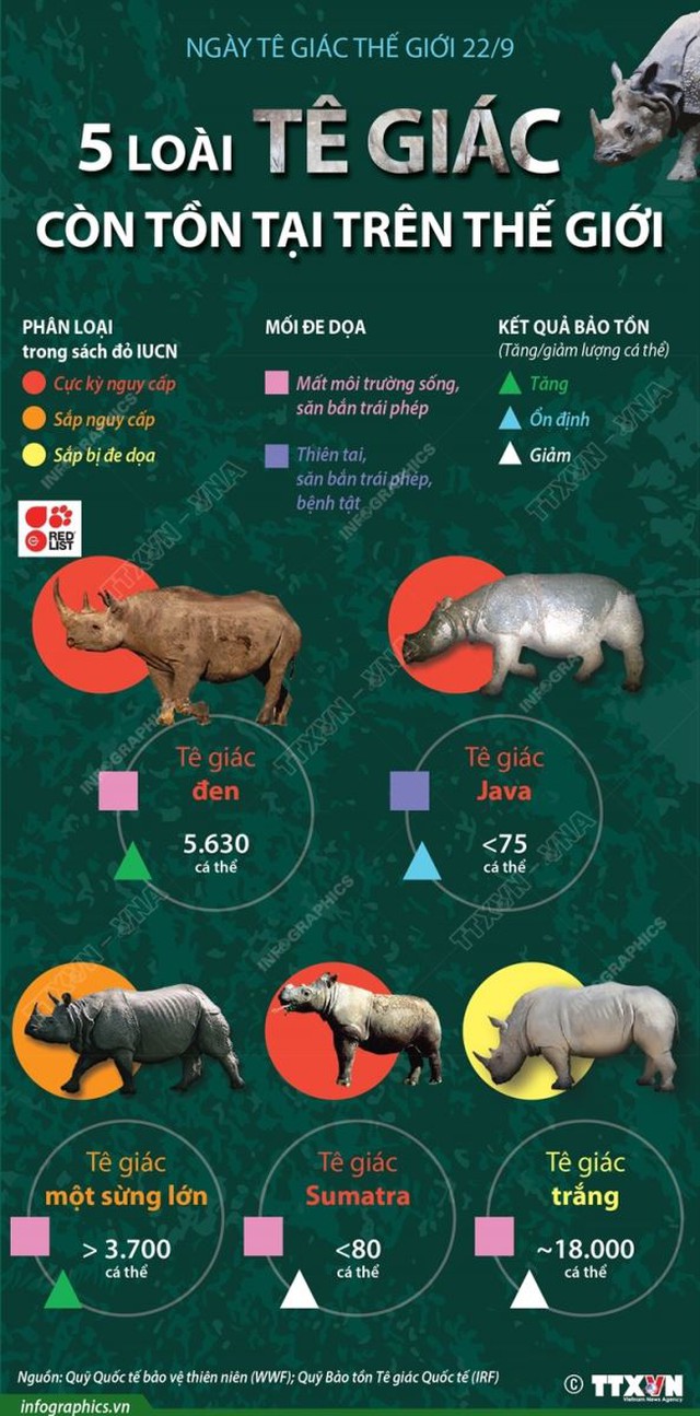 Ngày Tê giác thế giới 22/9, 5 loài tê giác còn tồn tại trên thế giới, tê giác, tê giác tuyệt chủng, loài tê giác Sumatra tuyệt chủng nguy cấp, ngày tê giác thế giới