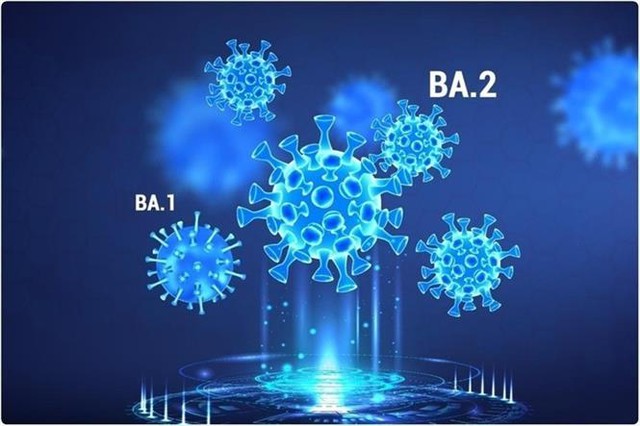  biến chủng Omicron. mức độ lây nhiễm của  biến chủng Omicron , đánh giá mức độ lây nhiễm của  biến chủng Omicron 