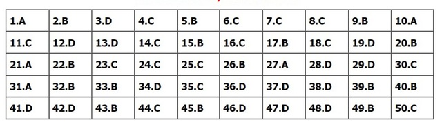 Đáp án môn Toán, Đáp án Toán, Đáp án môn Toán thi Tốt nghiệp THPT 2022, đáp án Toán, Đáp án môn Toán 24 mã đề, Đáp án Toán 24 mã đề, đáp án Toán thi THPT năm 2022