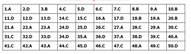 Đáp án môn Toán, Đáp án Toán, Đáp án môn Toán thi Tốt nghiệp THPT 2022, đáp án Toán, Đáp án môn Toán 24 mã đề, Đáp án Toán 24 mã đề, đáp án Toán thi THPT năm 2022