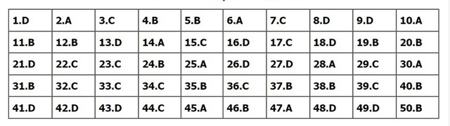 Đáp án môn Toán, Đáp án Toán, Đáp án môn Toán thi Tốt nghiệp THPT 2022, đáp án Toán, Đáp án môn Toán 24 mã đề, Đáp án Toán 24 mã đề, đáp án Toán thi THPT năm 2022