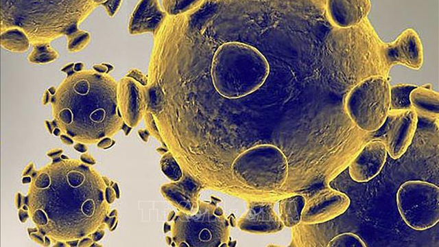 Mỹ: Hãng dược Becton Dickinson được cấp phép xét nghiệm nhanh kháng nguyên virus SARS-CoV-2