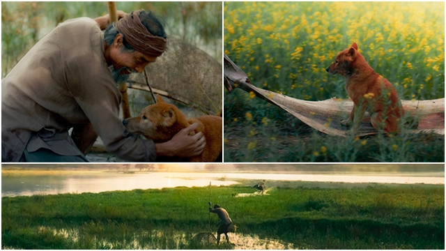 Phim 'Cậu Vàng' hé lộ những hình ảnh đầu tiên thật đẹp và yên bình