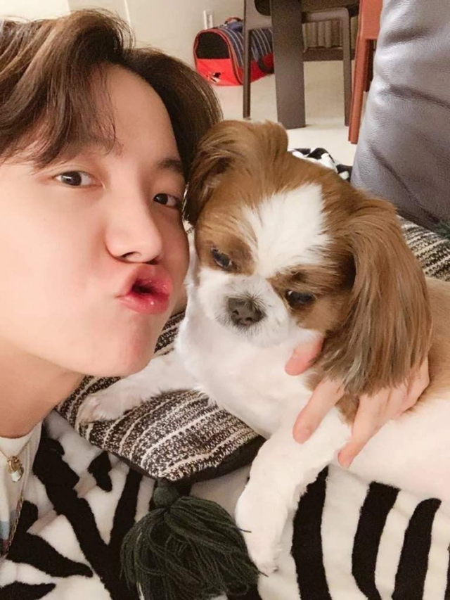 BTS, BTS tin tức, V, J-Hope, V BTS, BTS V, J-Hope BTS, BTS J-Hope, BTS weverse, bts idol, bts pet, bts dog, bts cún cưng, Jungkook, Jungkook BTS, BTS Jungkook, Yeotan