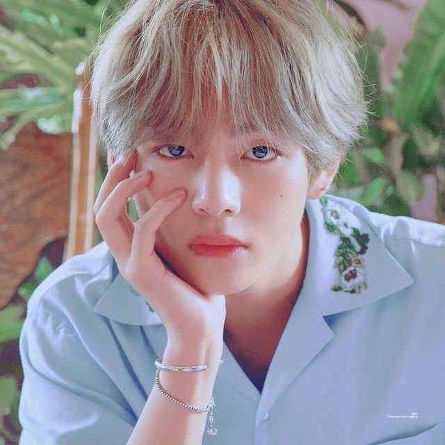 BTS, BTS tin tức, BTS thành viên, Kpop, ARMY, V, V BTS, BTS V, BTS idol, BTS visual, BTS nhan sắc, BTS profile, BTS ảnh, ảnh BTS, BTS youtube, BTS album, BTS instagram