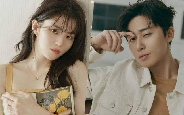 Han So Hee, diễn viên Han So Hee, Park Seo Joon, phim Hàn Quốc, Kbiz, minh tinh Han So Hee, tiểu tam Han So Hee, Han So Hee cấp cứu, Han So Hee nhập viện