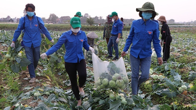 Góc nhìn 365: Điệp khúc 'giải cứu nông sản'