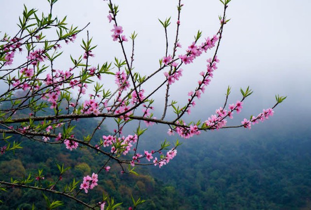 Mâm cúng Tất niên, Mâm cỗ cúng Tất niên, Bài cúng tất niên, Văn khấn Tất niên, Mâm cúng Tất niên 2022, Mâm cỗ cúng Tất niên, Bài cúng tất niên 2022, văn khấn tất niên