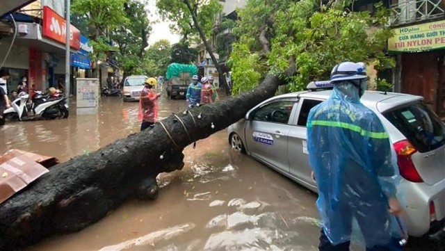 Hà Nội: Mưa lớn gây ngập, cây đổ đè bẹp ô tô