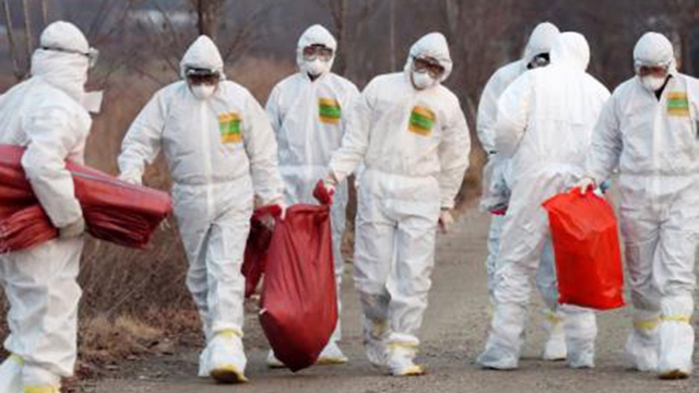 Hàn Quốc: Xuất hiện ca nghi nhiễm virus cúm gia cầm có thể gây tử vong ở người