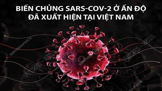 Covid-19, Covid Ấn Độ, biến chủng SARS-CoV-2, WHO, biến chủng covid, Covid Việt Nam, vaccine covid-19, virus