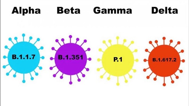 Covid-19, Covid-19 thế giới, Delta, biến thể virus SARS-CoV-2, virus Delta, độ nguy hiểm của Delta, các biến thể của virus covid-19, covid-19 hôm nay