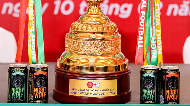 Bảng xếp hạng bóng đá V-League 2022 - BXH bóng đá Việt Nam mới nhất vòng 15