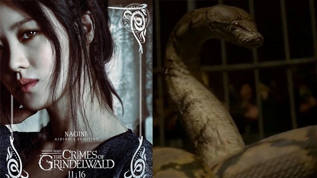 Rowling nói về mỹ nhân châu Á hóa rắn trong ‘Sinh vật huyền bí 2’