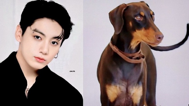 Jungkook BTS được ca ngợi hết lời vì nhân đạo với cún cưng