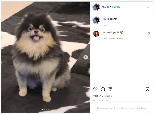 BTS, V BTS, Taehyung, Yeontan, Tannie, V lọt top được thích nhất Instagram nhờ Yeontan, V Yeontan, V BTS instagram, V BTS cute, V BTS sexy, V BTS handsome