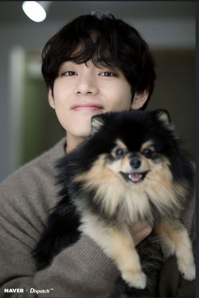 BTS, V BTS, Taehyung, Yeontan, Tannie, V lọt top được thích nhất Instagram nhờ Yeontan, V Yeontan, V BTS instagram, V BTS cute, V BTS sexy, V BTS handsome