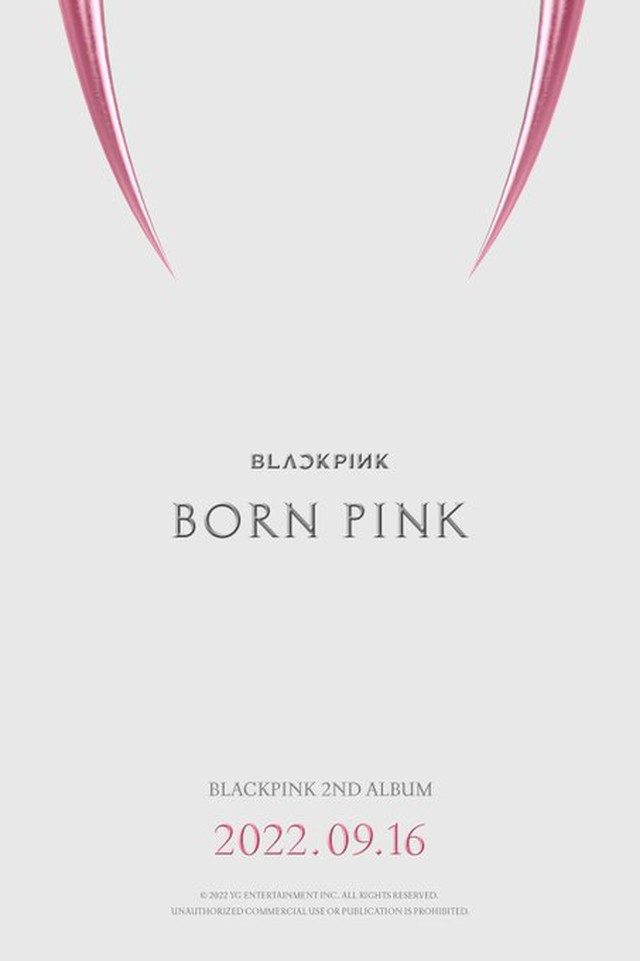 Blackpink, Blackpink phá kỷ lục mua trước, Jennie, Jisoo, Rose, Lisa, Born Pink, Pink Venom, Blackpink comeback, Blackpink 2022, The Album, Ready for Love
