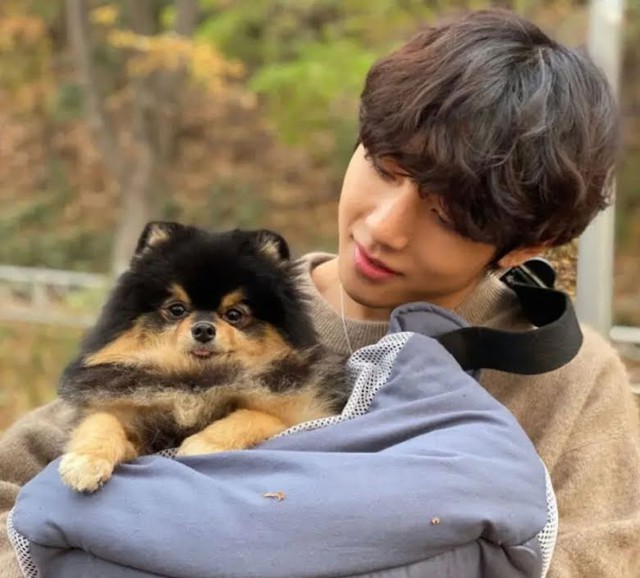 BTS, V BTS, Yeontan, V BTS tái hợp Park Seo Joon, V BTS đánh golf, Wooga Squad 2022, V BTS Yeontan, Yeontan 2022, V BTS 2022, Jin, Jimin, Jungkook, RM, Suga, J-Hope