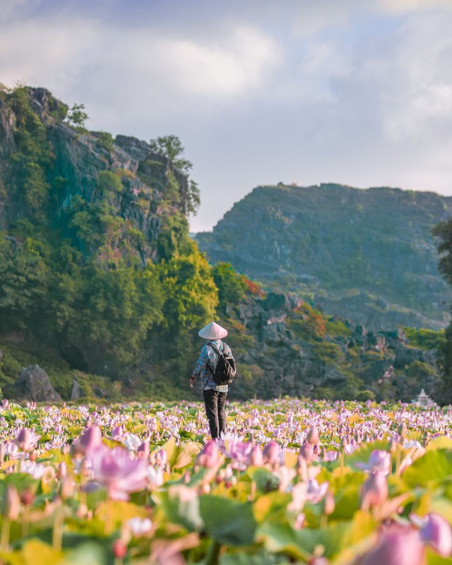 Hang Múa, Đầm sen hang múa, check -in mùa du lịch, Vạn lý trường thành phiên bản Việt, Hang Múa Ninh Bình