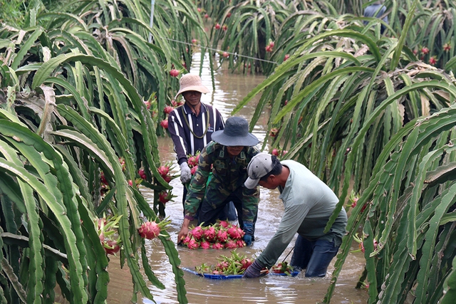 Dự báo thời tiết, Thời tiết TPHCM, Dự báo thời tiết TPHCM, Tin thời tiết, Bão, dự báo thời tiết tphcm 27/11, thời tiết ngày mai, thời tiết tphcm ngày mai, thời tiết 27/11