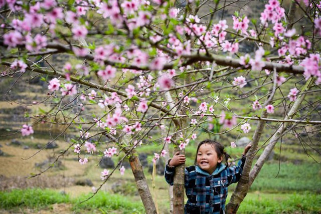 Dự báo thời tiết, Thời tiết, Thời tiết Tết, Thời tiết Tết nguyên đán, Nghỉ Tết, lịch nghỉ tết, nghỉ tết nguyên đán, thời tiết tết 2019, dự báo thời tiết tết, rét đậm, rét