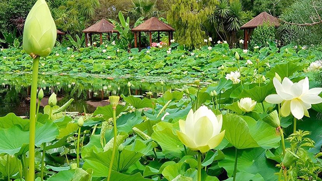 Dự báo thời tiết, Thời tiết, Thời tiết Hà Nội, nhiệt độ, nhiệt độ hà nội, nhiệt độ hôm nay, thoi tiet, du bao thoi tiet, thời tiết 10/6, thời tiết hôm nay