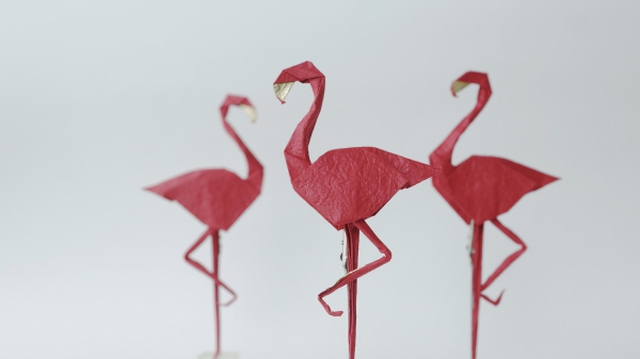 VCCA giới thiệu vẻ đẹp nghệ thuật Origami qua triển lãm ‘Những đôi cánh’