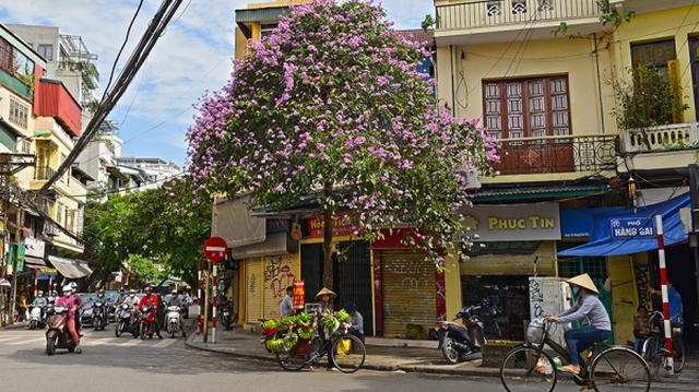 'TÔI YÊU HÀ NỘI' lên sóng Truyền hình Hà Nội vào 19h45 ngày 1/7/2020