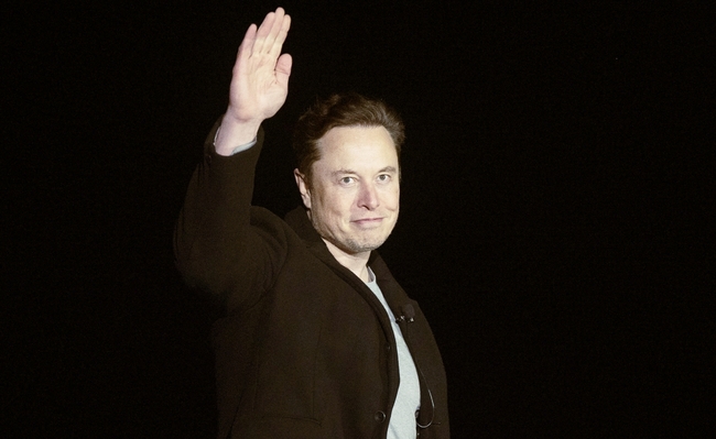 Tỷ phú Elon Musk sẽ tìm một nhà lãnh đạo mới để điều hành Twitter - Ảnh 2.