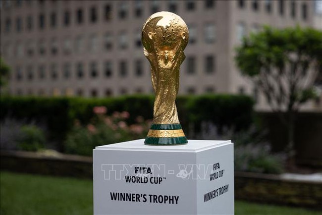 Lịch trực tiếp bóng đá World Cup 2022 trên kênh VTV Cần Thơ - Ảnh 2.