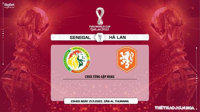 Nhận định bóng đá, nhận định Senegal vs Hà Lan, World Cup 2022 (23h00, 21/11) - Ảnh 9.