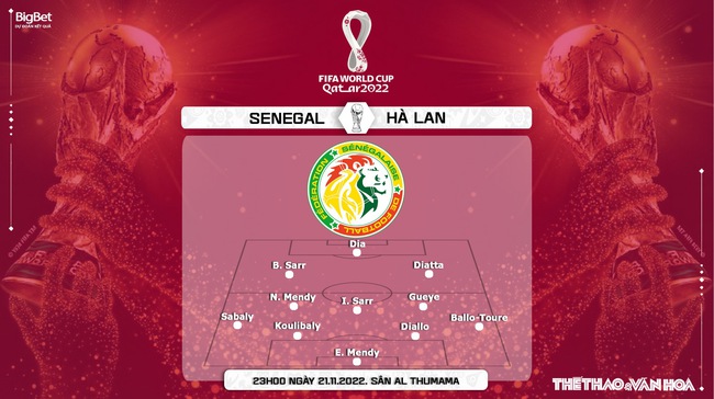 Nhận định bóng đá, nhận định Senegal vs Hà Lan, World Cup 2022 (23h00, 21/11) - Ảnh 7.
