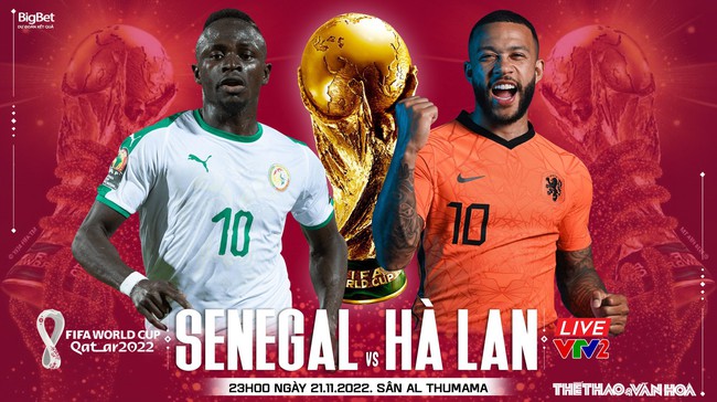 Nhận định bóng đá, nhận định Senegal vs Hà Lan, World Cup 2022 (23h00, 21/11) - Ảnh 3.