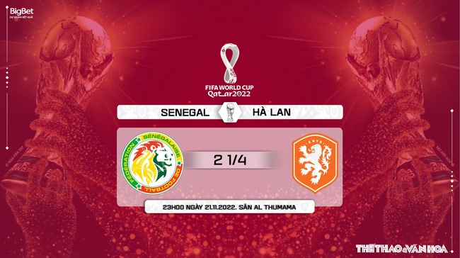 Nhận định bóng đá, nhận định Senegal vs Hà Lan, World Cup 2022 (23h00, 21/11) - Ảnh 6.