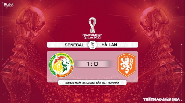 Nhận định bóng đá, nhận định Senegal vs Hà Lan, World Cup 2022 (23h00, 21/11) - Ảnh 5.